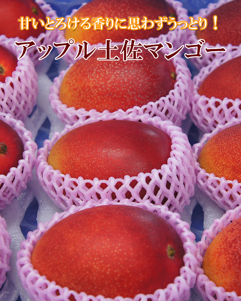 並んだマンゴー