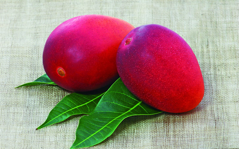 2つ並んだマンゴー