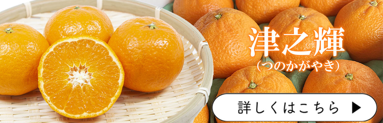 津之輝　つのかがやき