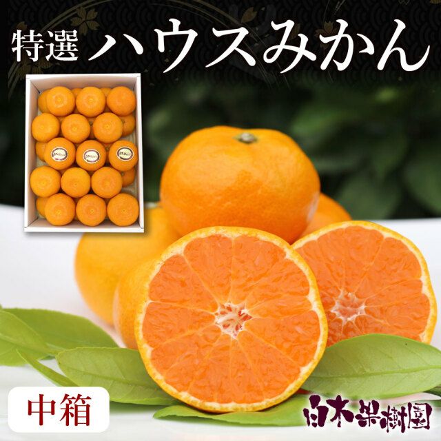 葉祥明(Orange Forest)585/S800額付き 葉祥明(Orange Forest)585/S800額付き 【公式通販】