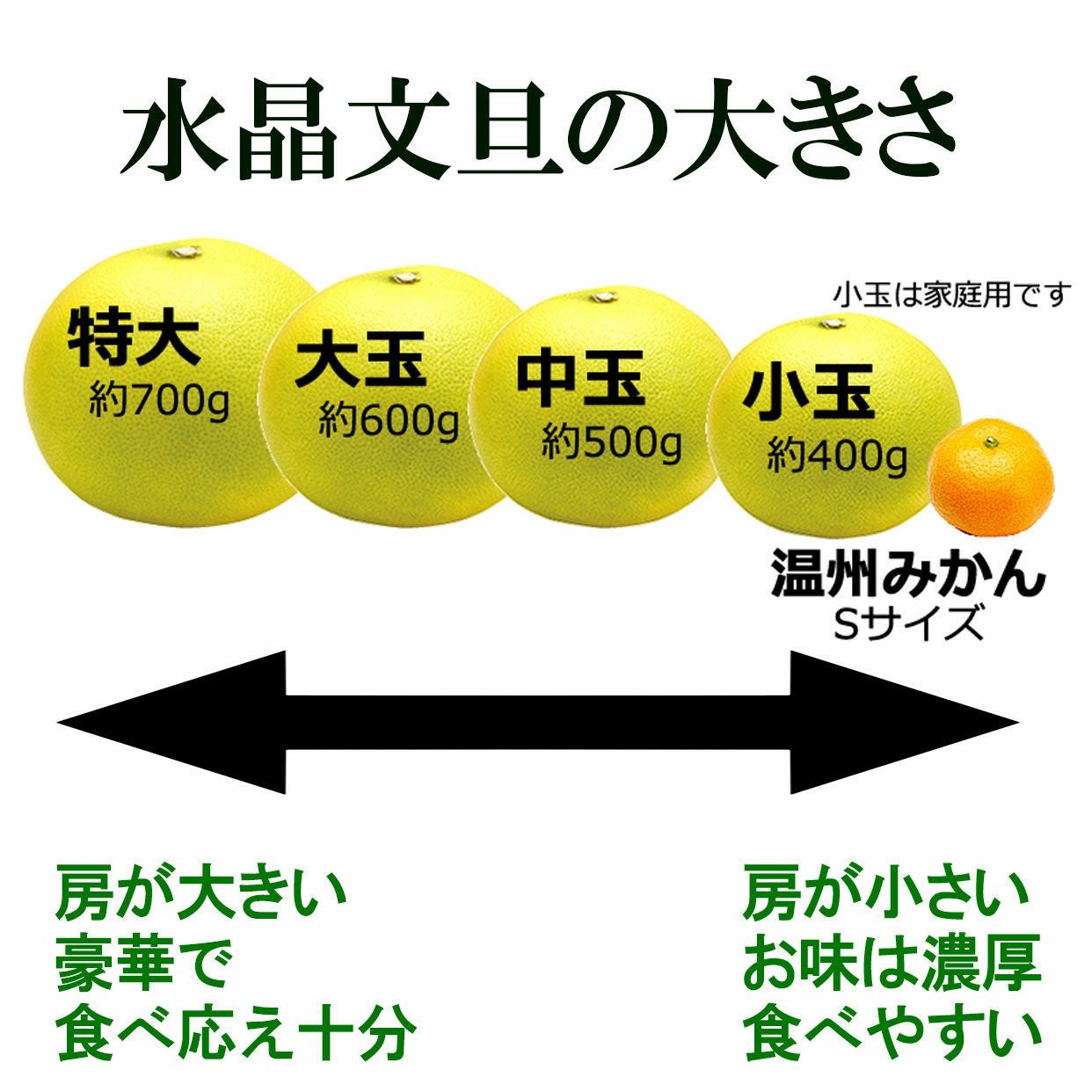 訳ありお得箱水晶文旦 約3kgご家庭用【送料込】 | 白木果樹園