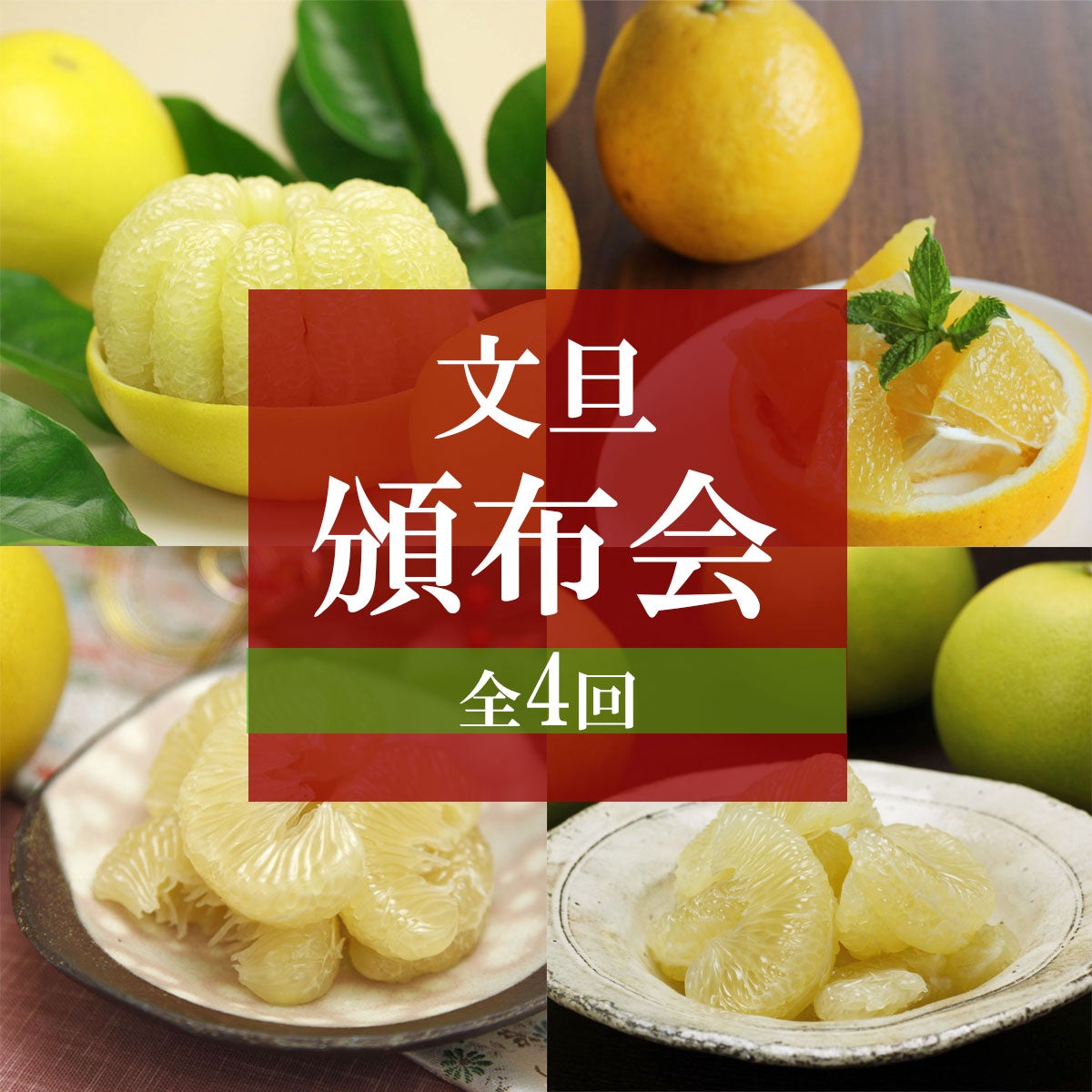 文旦四季の頒布会（定期便）【年間一括払い】