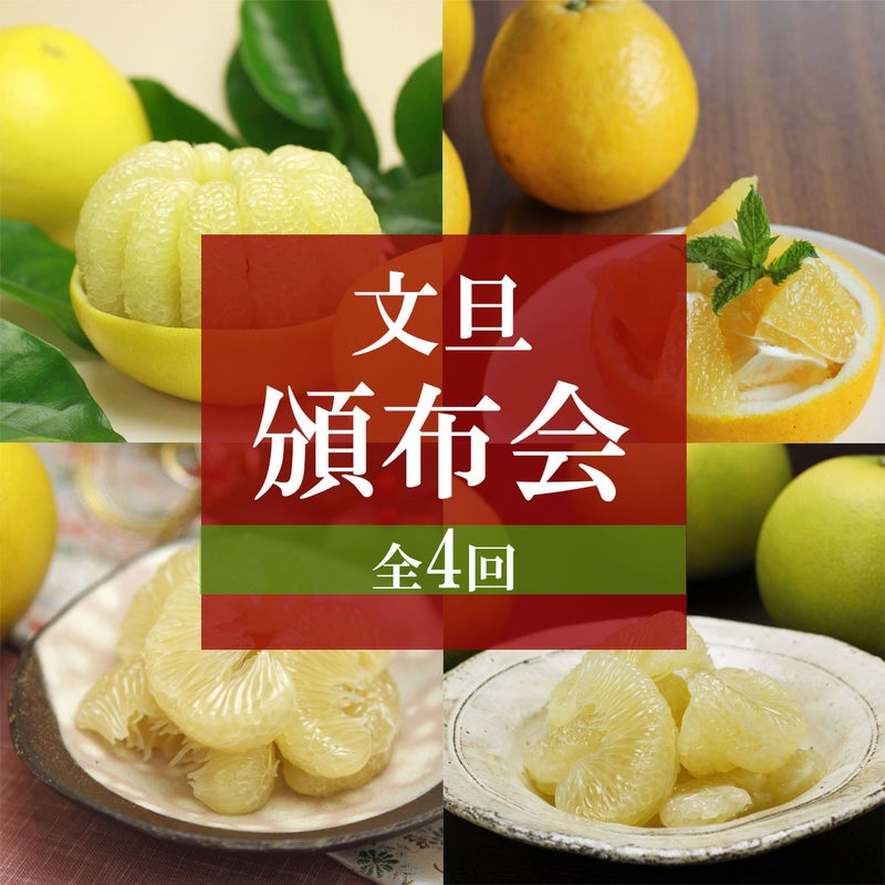 文旦四季の頒布会（定期便）【年間一括払い】