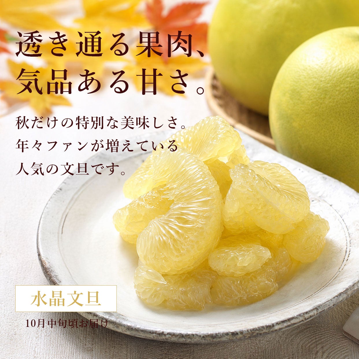 文旦の頒布会・定期便｜四季の文旦を年4回お届け｜白木果樹園