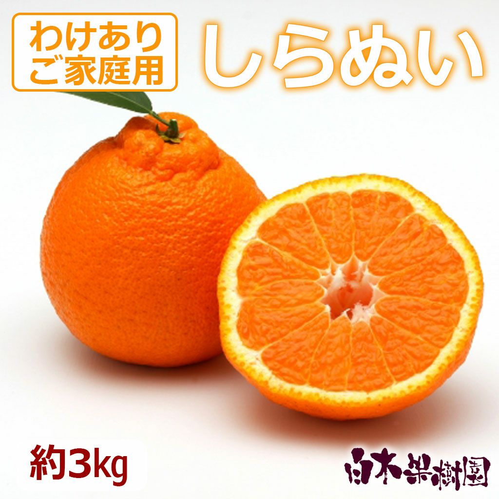 高知県産 しらぬい（不知火）｜濃厚な甘さと爽やかな酸味。旬を選び