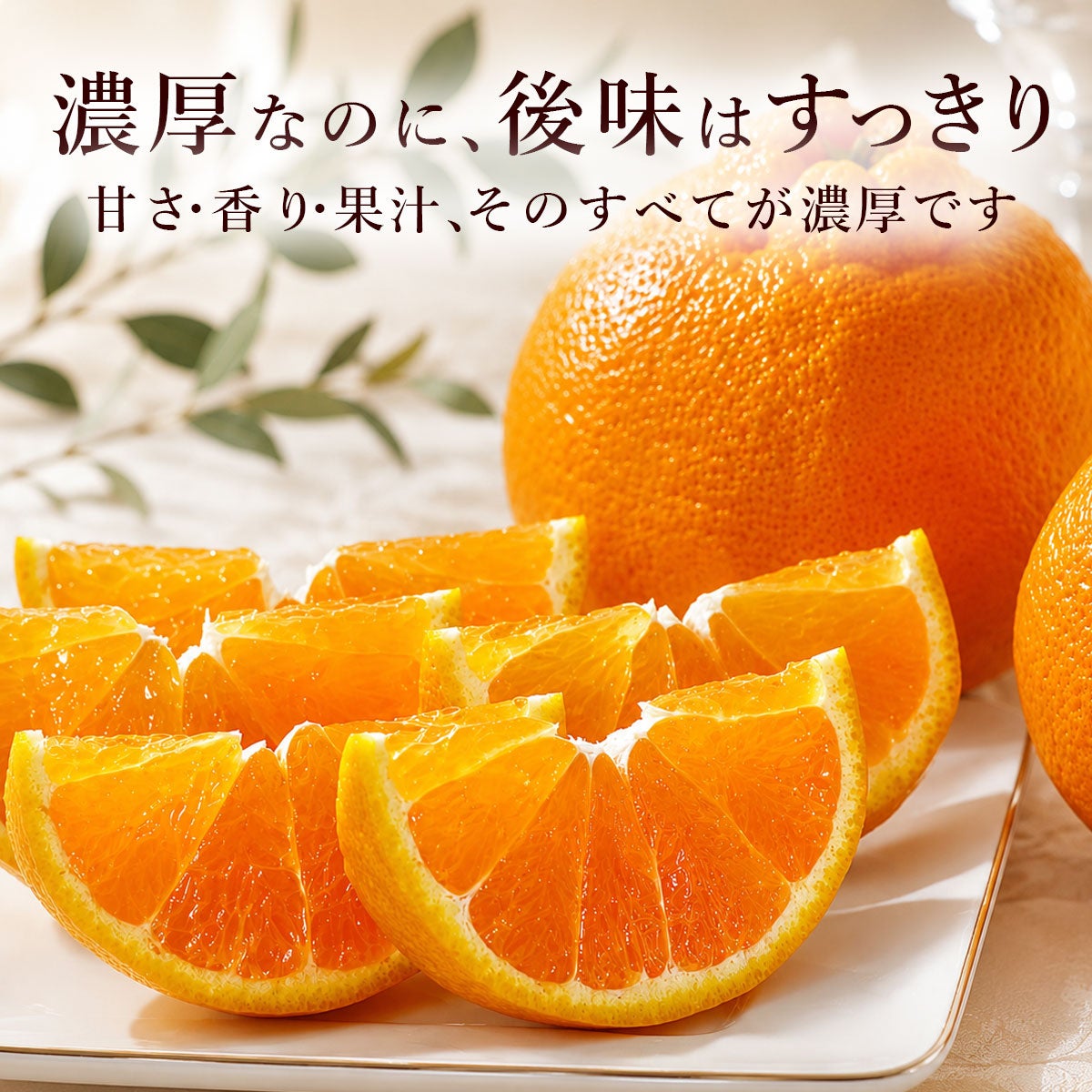 しらぬいご家庭用約3kg【送料込】 | 白木果樹園