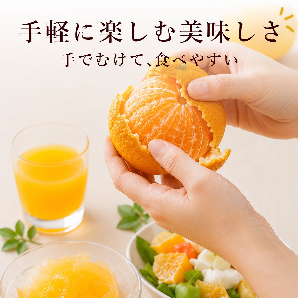 【こしあん】扇子以外のセット（バラ売り） しらぬいご家庭用約3kg【送料込】 | 白木果樹園