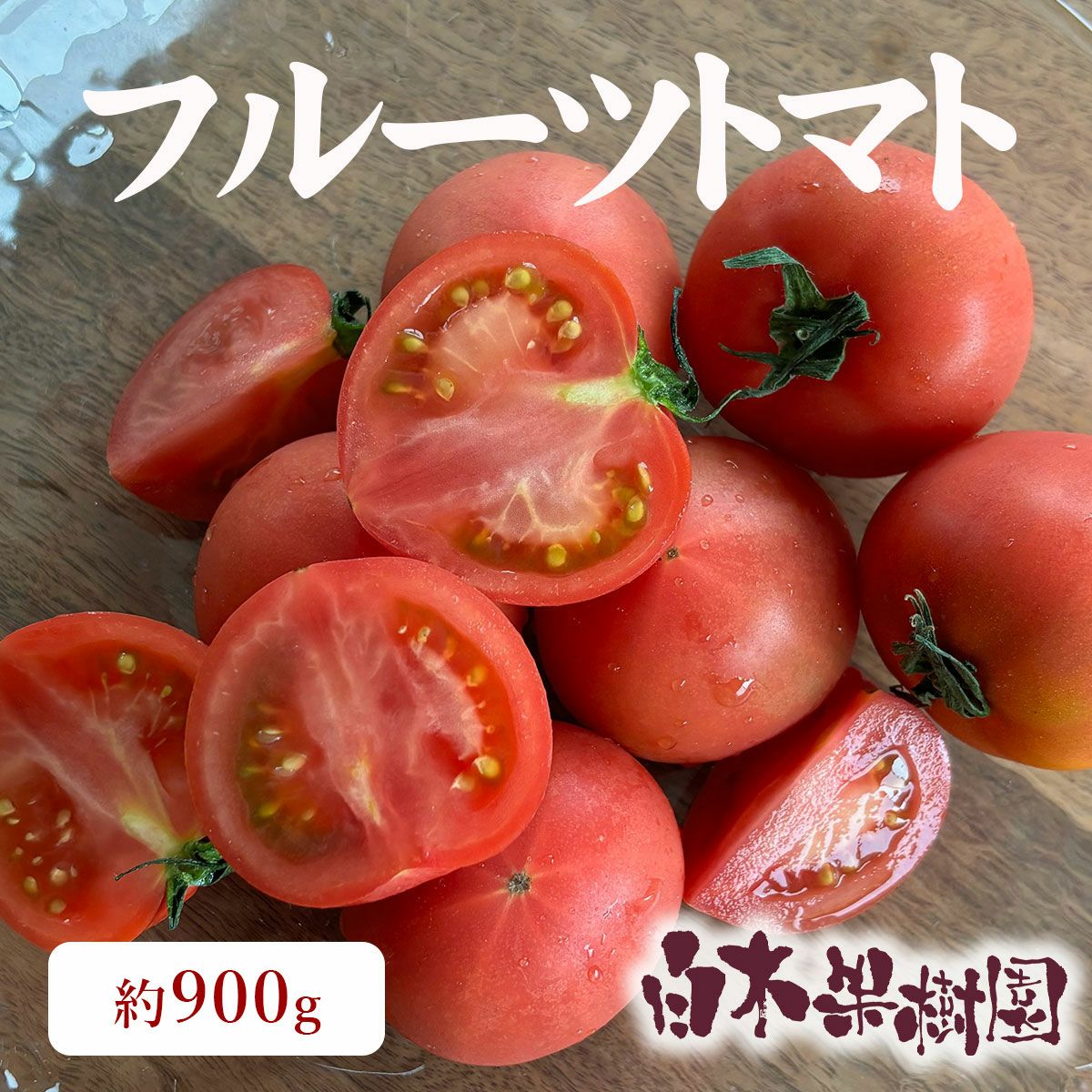 高知県産フルーツトマト約900g【クール送料込】 | 白木果樹園
