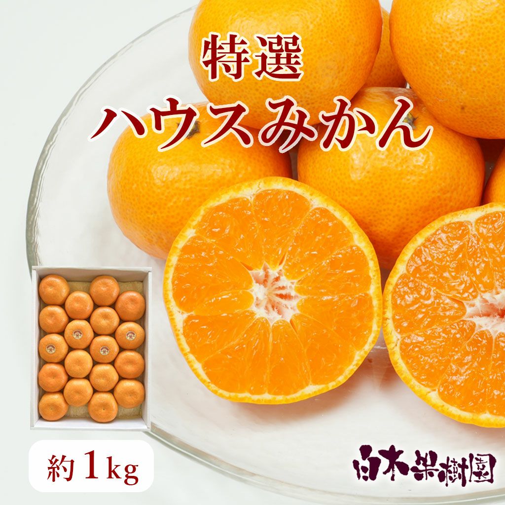 特選ハウスみかん約1kg【送料込】 | 白木果樹園