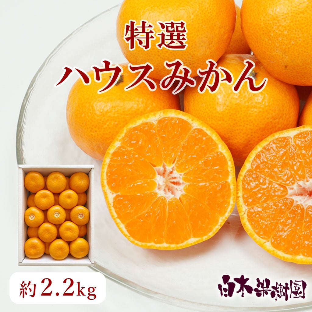 特選ハウスみかん 約2.2kg