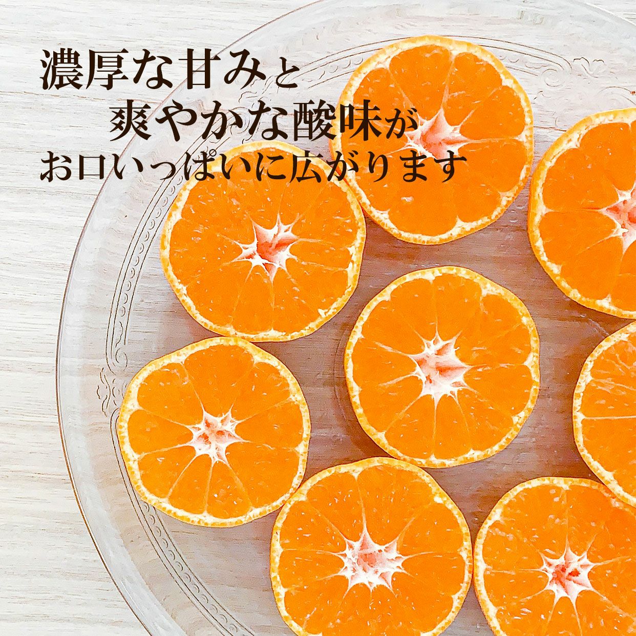 特選ハウスみかん約2.2kg【送料込】 | 白木果樹園