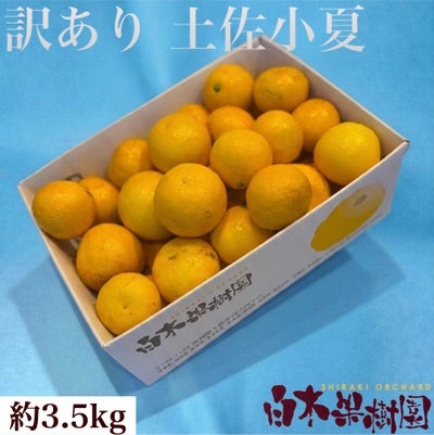小夏わけありご家庭用 約3.5kg