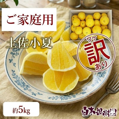 小夏わけありご家庭用 約5kg