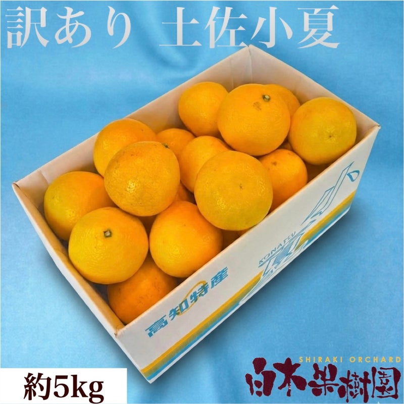 小夏わけありご家庭用 約5kg