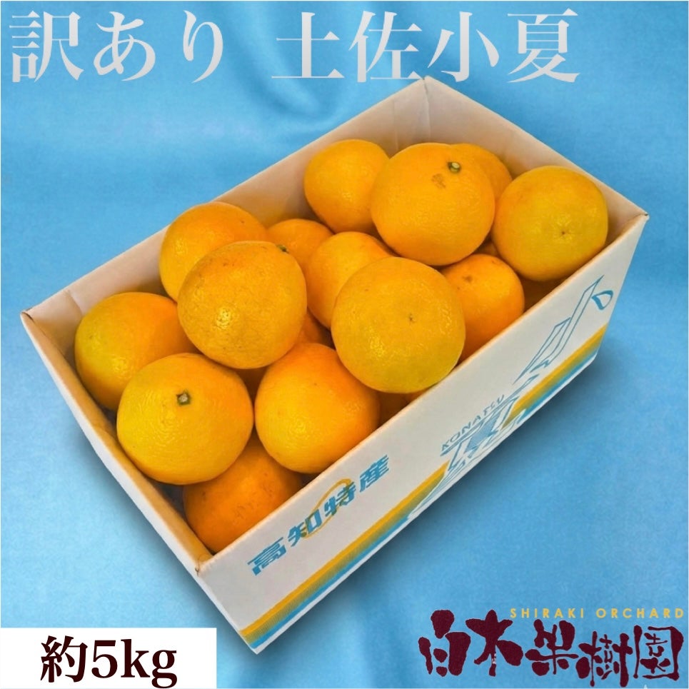 小夏わけありご家庭用 約5kg
