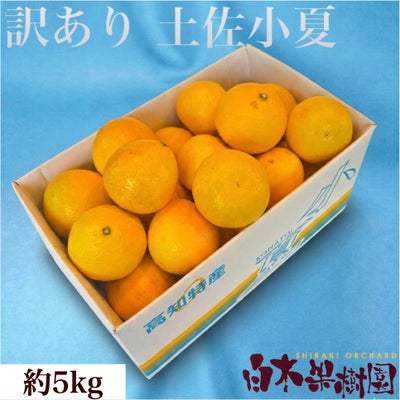小夏わけありご家庭用 約5kg
