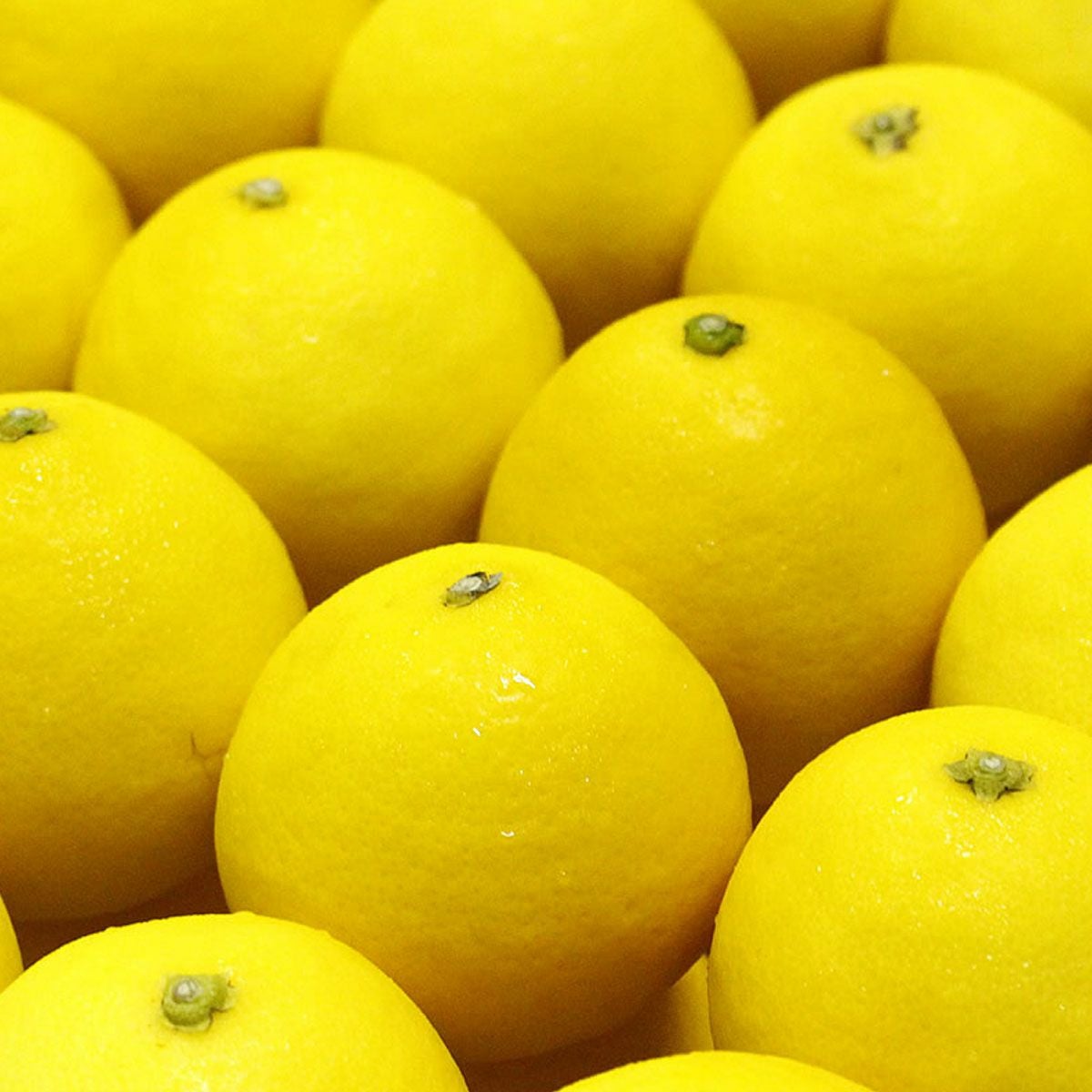 小夏わけありご家庭用約5kg（小夏）（日向夏）（（ﾆｭｰｻﾏｰｵﾚﾝｼﾞ））（西