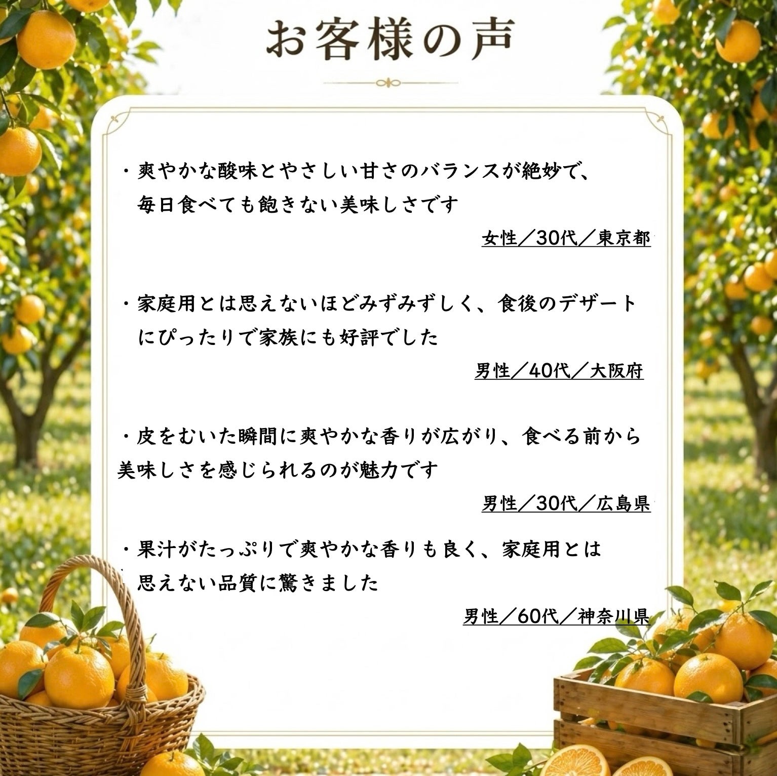 小夏わけありご家庭用約5kg（小夏）（日向夏）（ﾆｭｰｻﾏｰｵﾚﾝｼﾞ）（西内