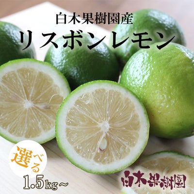 白木果樹園産レモン