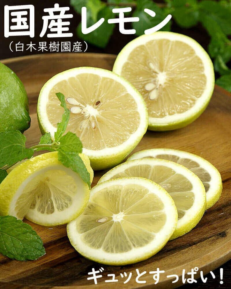 白木果樹園産リスボンレモン約1.5kg、3kg、5kg【国産】【送料込