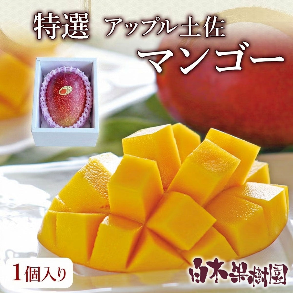 特選アップル土佐マンゴー 秀品・化粧箱（2個入り）