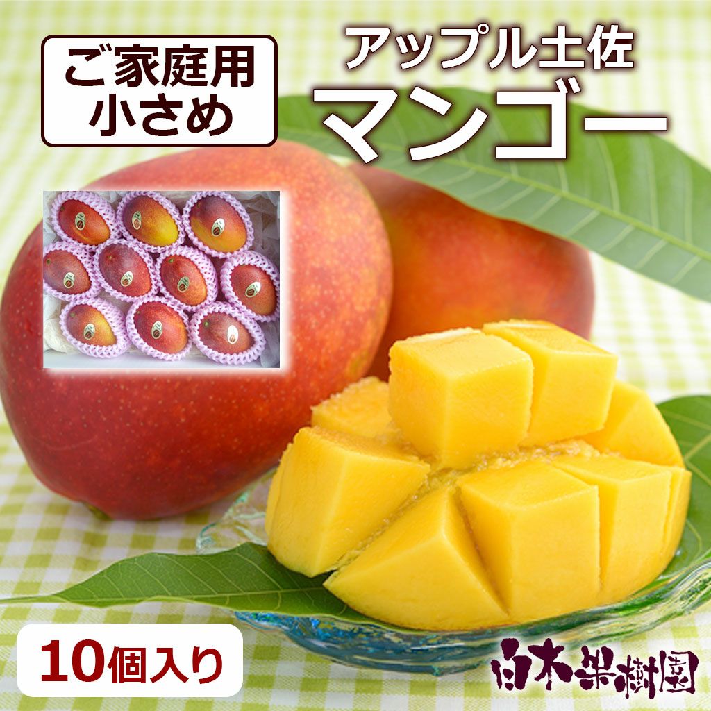 アップル土佐マンゴー訳あり ご家庭用10個入り【送料込】 | 白木果樹園