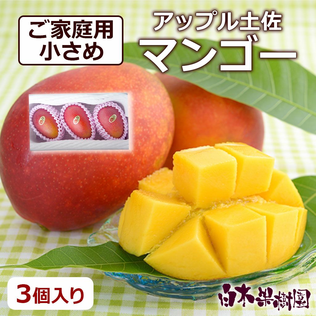 アップル土佐マンゴー訳あり ご家庭用3個入り【送料込】 | 白木果樹園