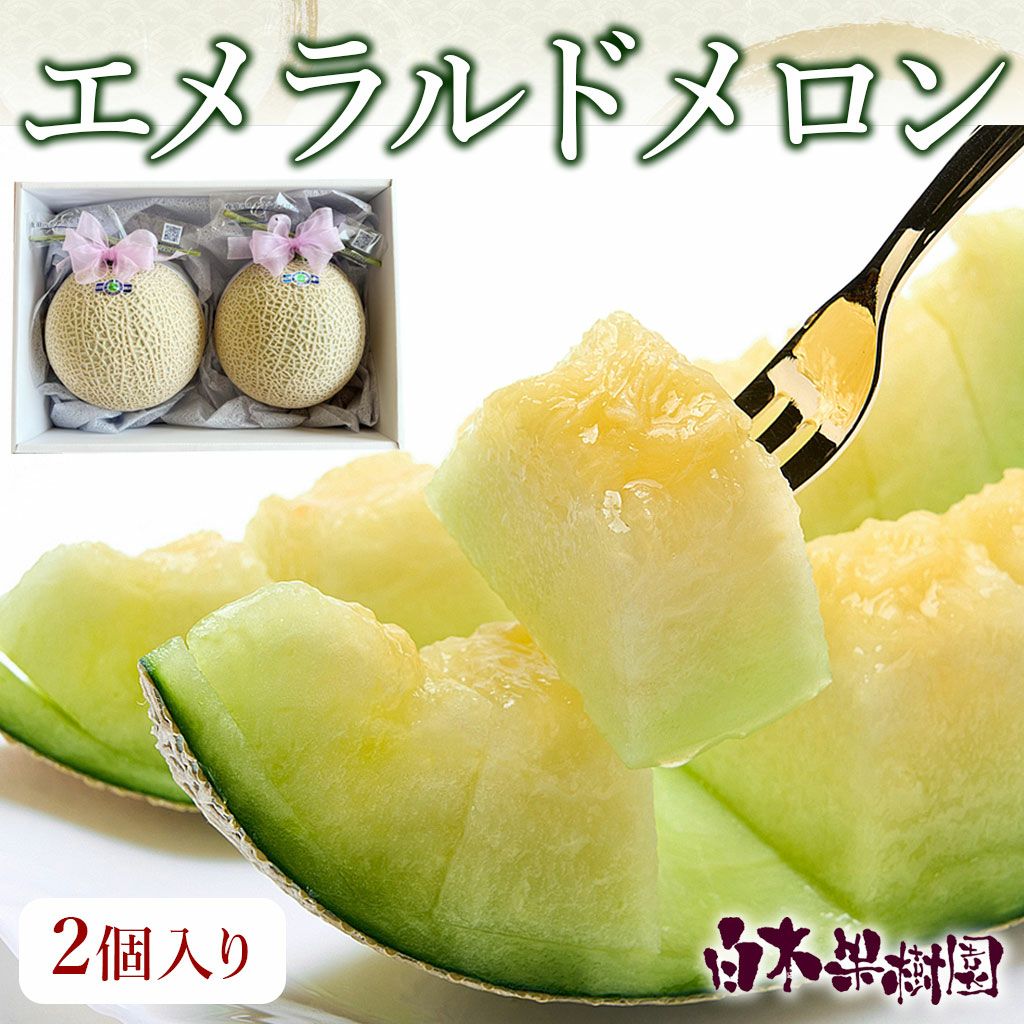 極上エメラルドメロン2個入り【送料込】 | 白木果樹園