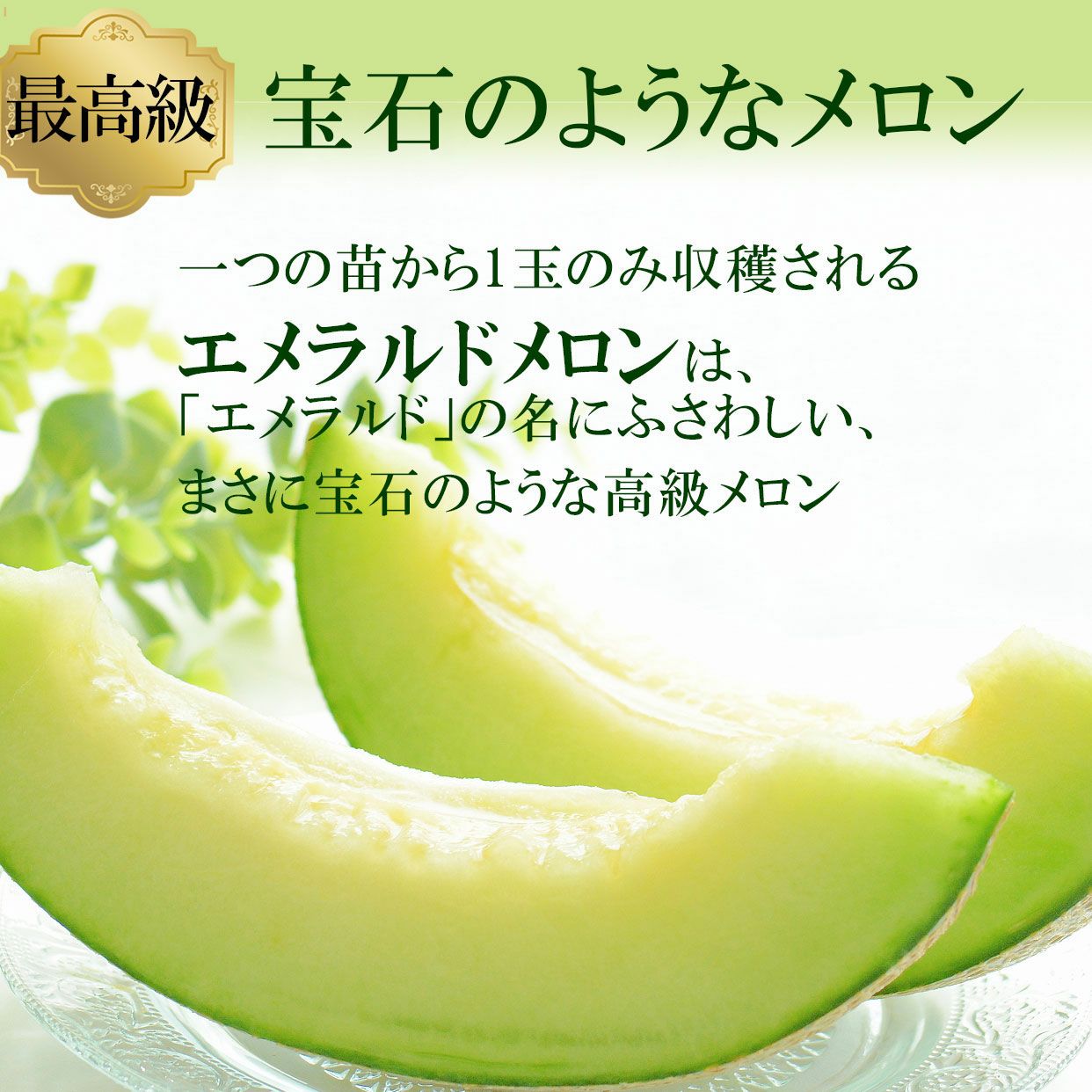 極上エメラルドメロン2個入り【送料込】 | 白木果樹園