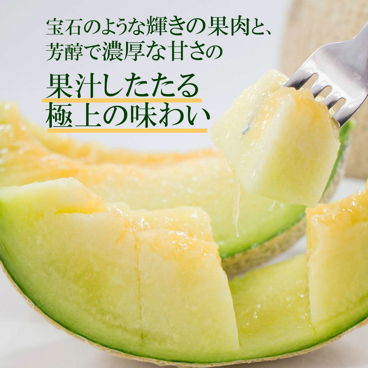 メロン2 極上エメラルドメロン2個入り【送料込】 | 白木果樹園