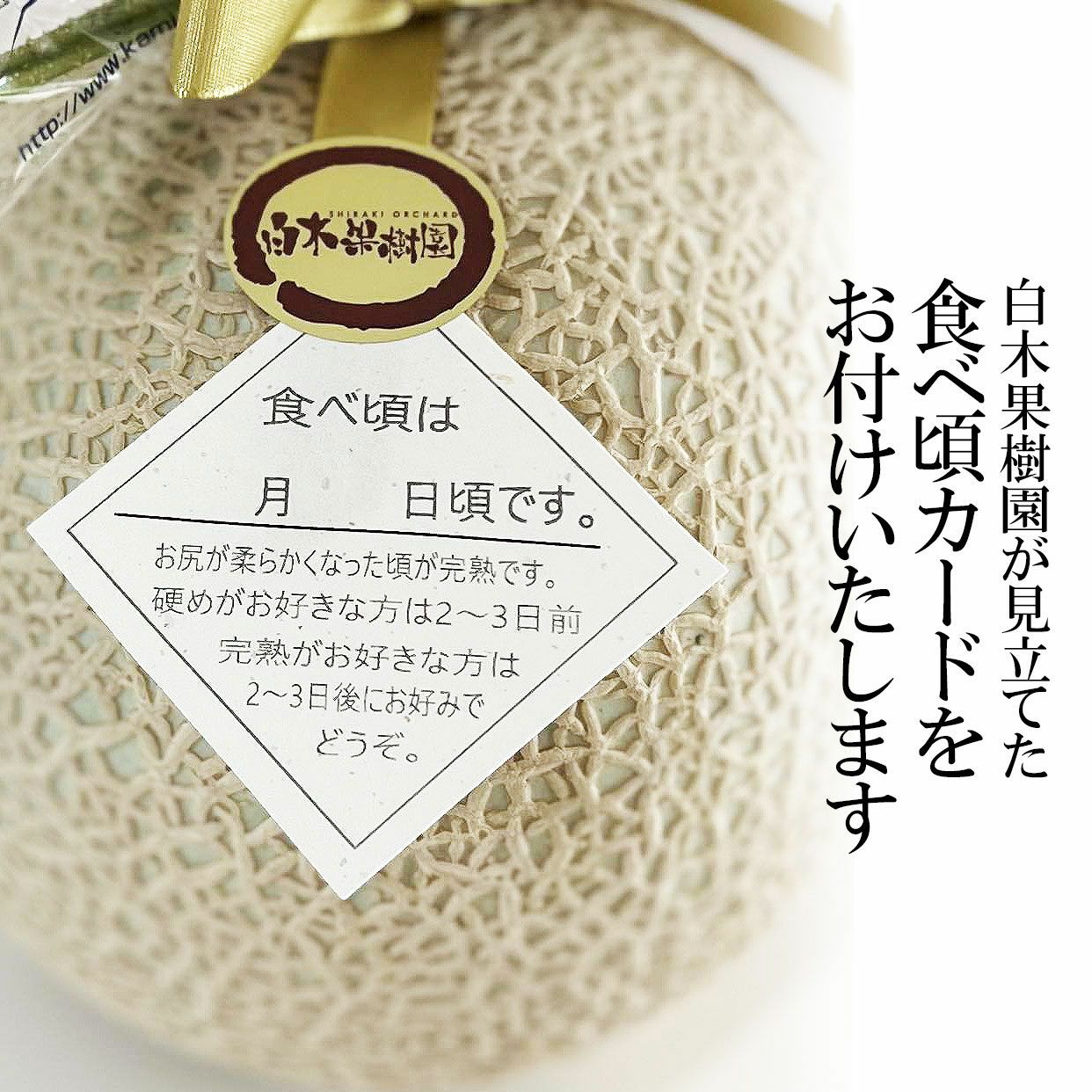 メロン2 極上エメラルドメロン2個入り【送料込】 | 白木果樹園