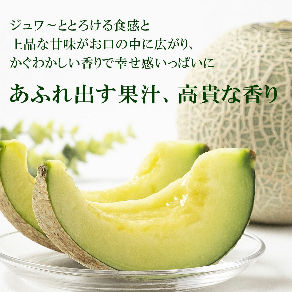 極上エメラルドメロン2個入り【送料込】 | 白木果樹園