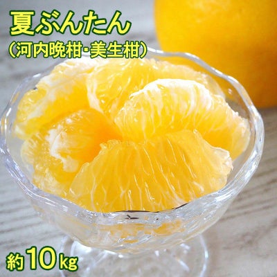 露地夏ぶんたん 訳ありご家庭用 約10kg