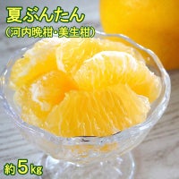 露地夏ぶんたん 訳ありご家庭用 約6kg