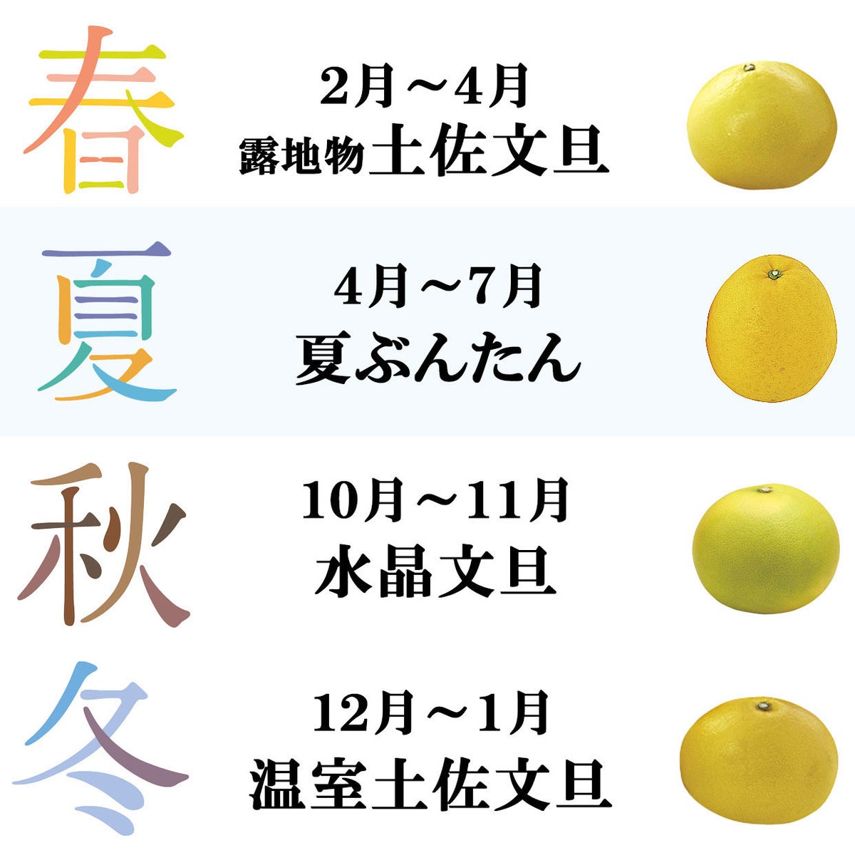 土佐文旦とは、また違う美味しさ