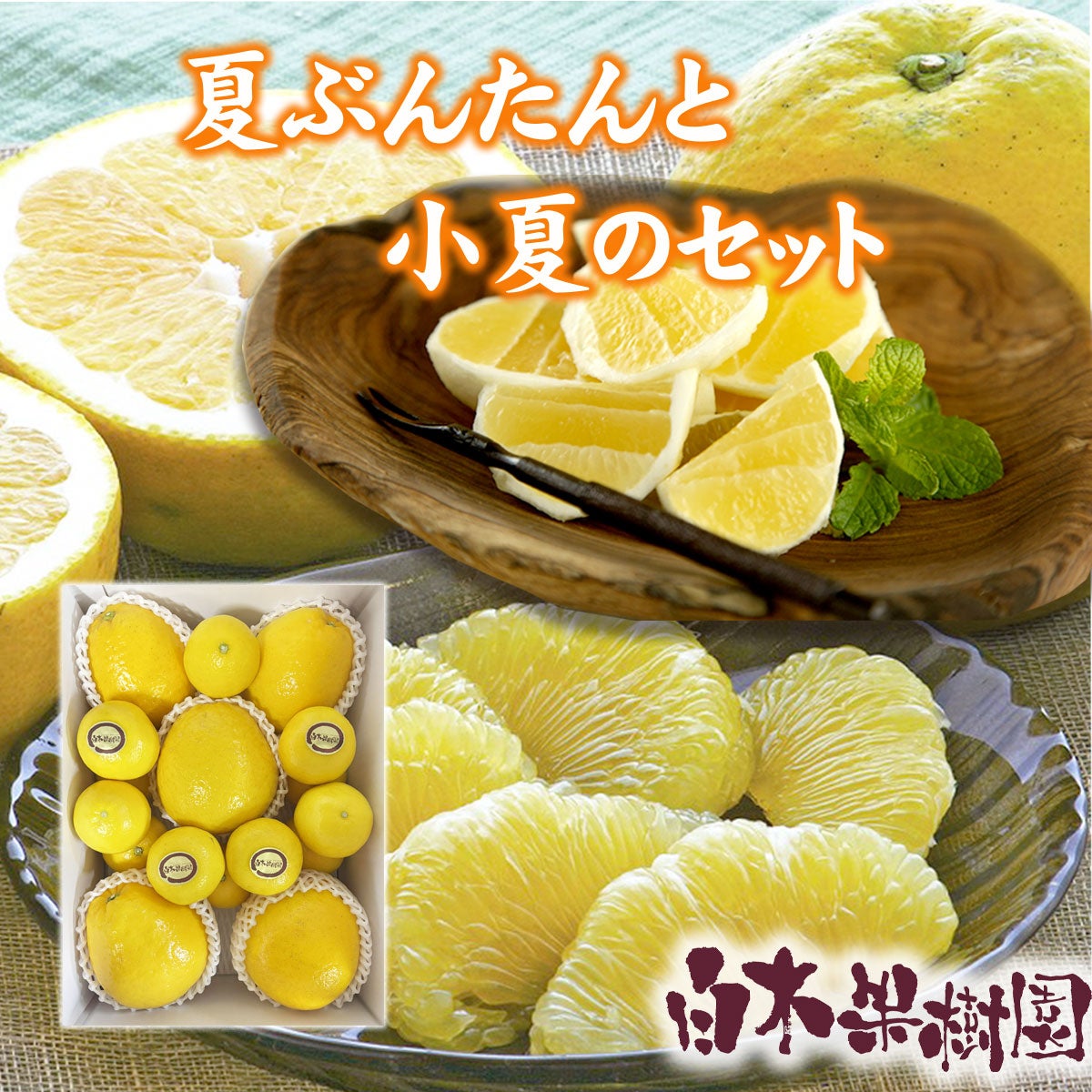 夏ぶんたん