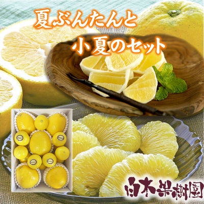 夏ぶんたんと小夏の詰め合わせセット