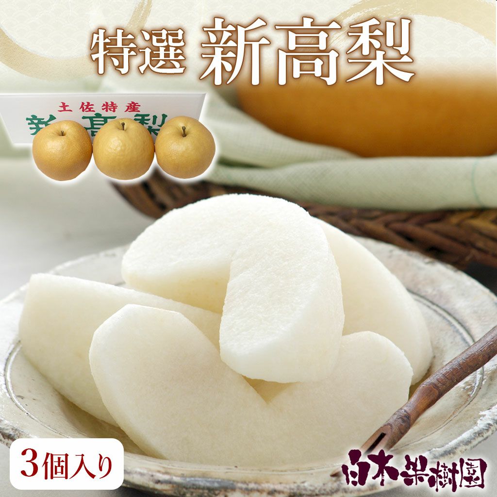 特選秀品新高梨超特大3個入り【送料込】 | 白木果樹園