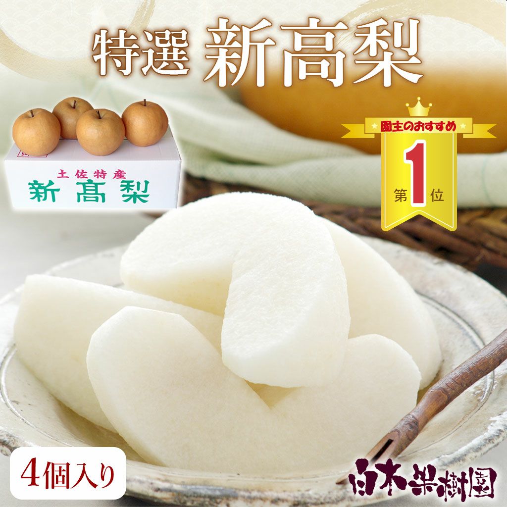 特選秀品新高梨特大4個入り【送料込】 | 白木果樹園