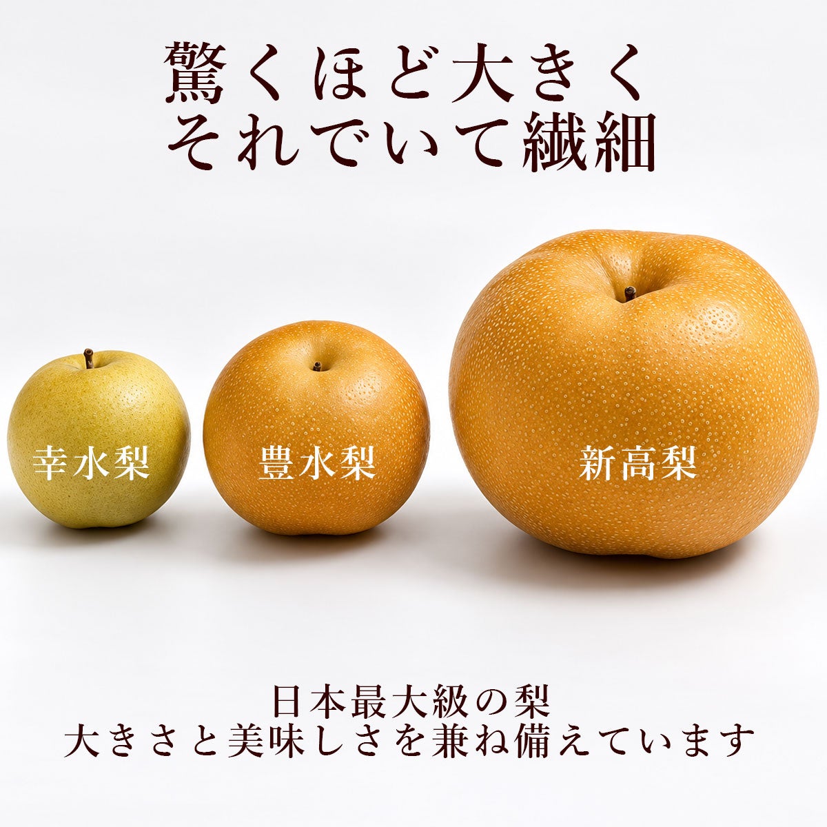 000000000084-06.jpg?size=l&w=