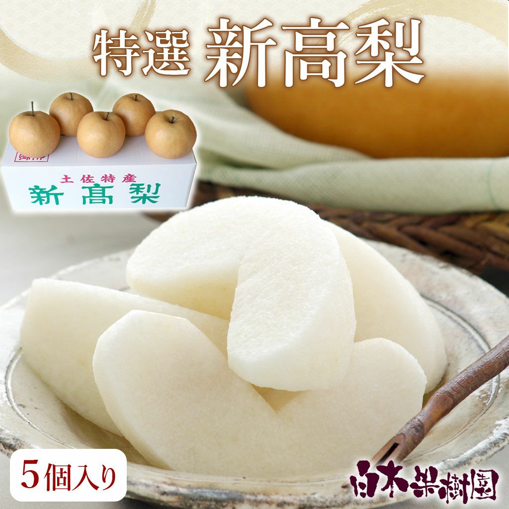 特選秀品新高梨 大玉5個入り