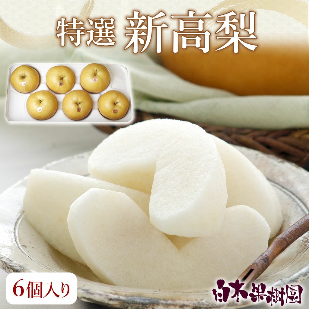 特選秀品新高梨中玉6個入り【送料込】 | 白木果樹園