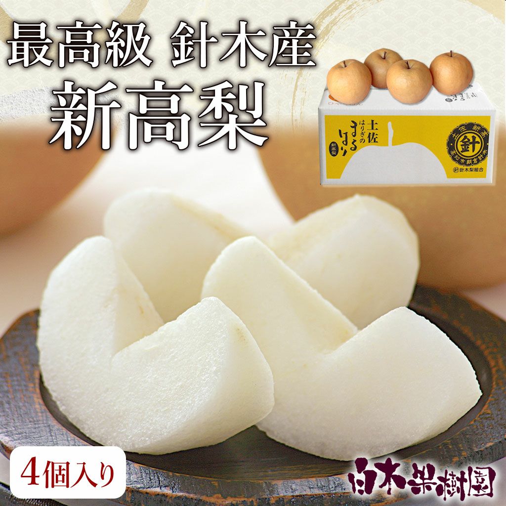 最高級 針木産新高梨 特大4個入り