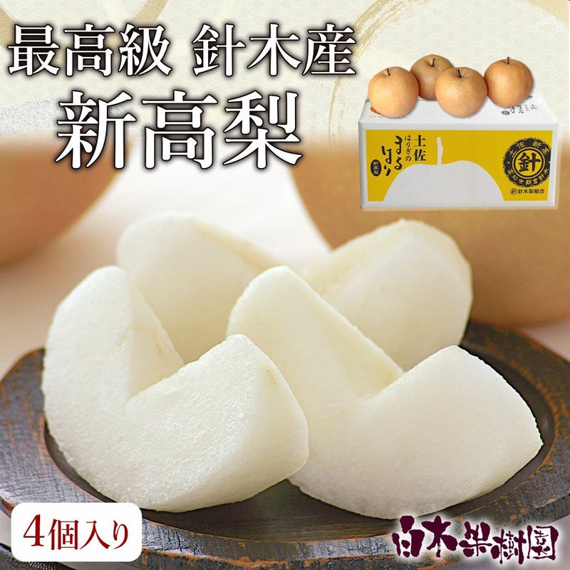 最高級 針木産新高梨 特大4個入り
