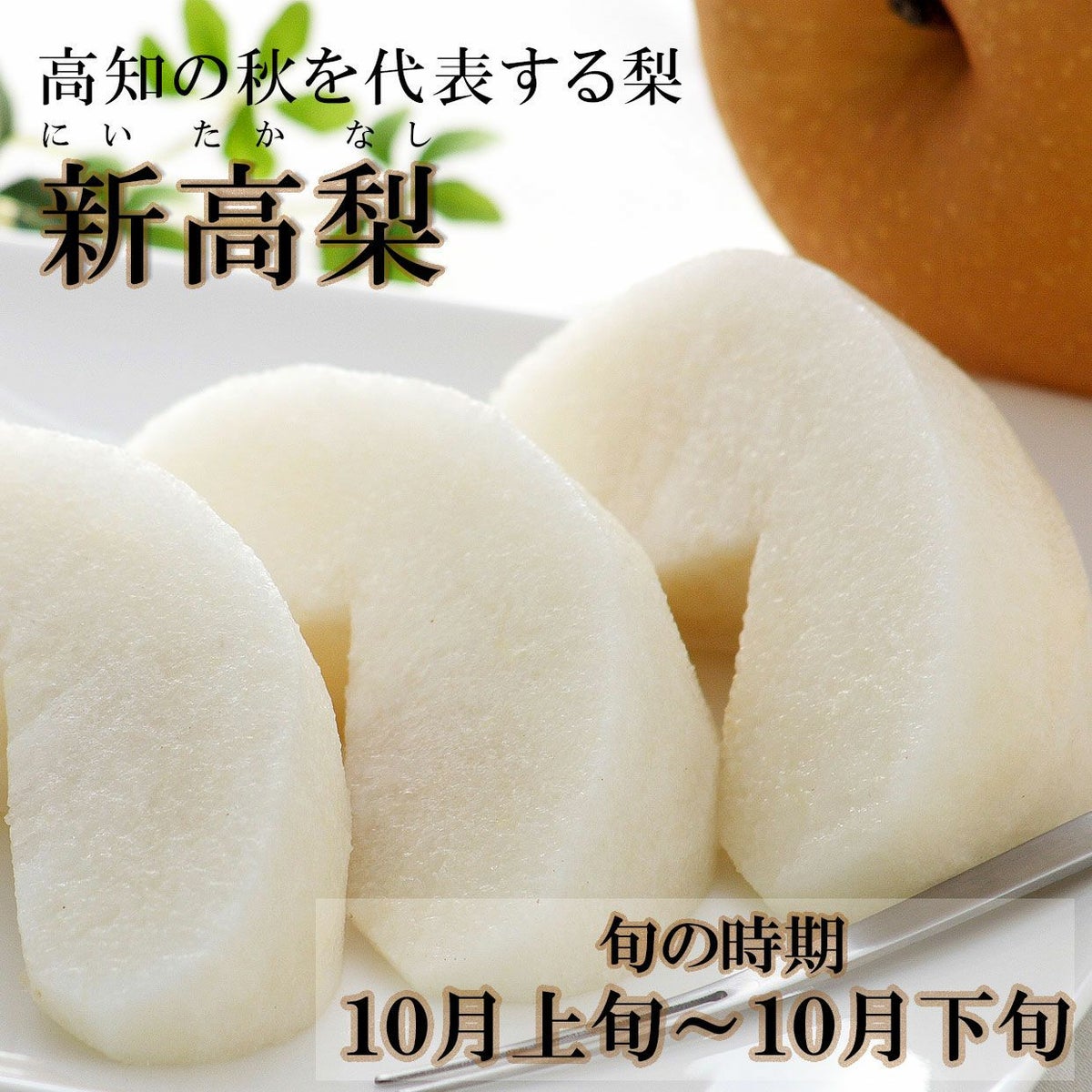 高知の秋を代表する梨・新高梨