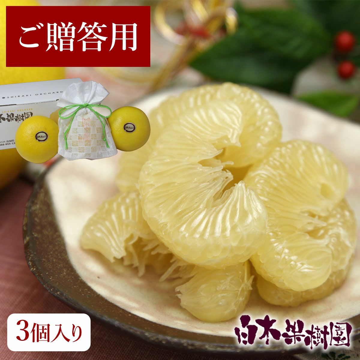 温室土佐文旦（ハウス文旦）贈答用中玉3個入り【送料込】 | 白木果樹園