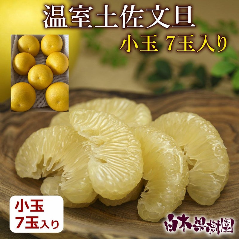 温室土佐文旦　小玉7個入り