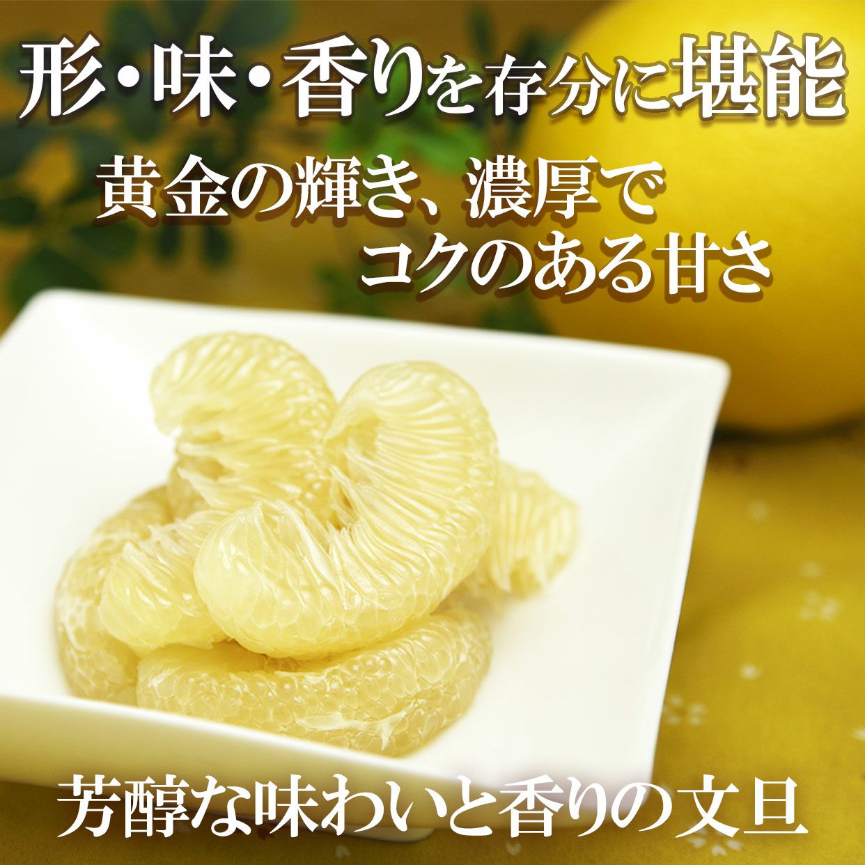 ご家庭用ご奉仕品】訳あり温室土佐文旦（ハウス文旦）Lサイズ 7個入り