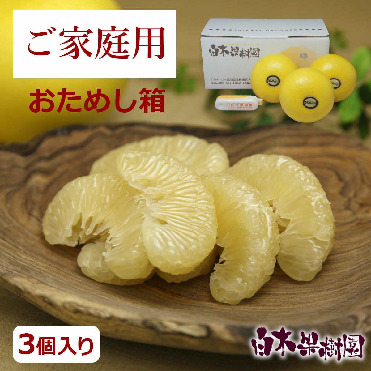 温室土佐文旦（高知県産）