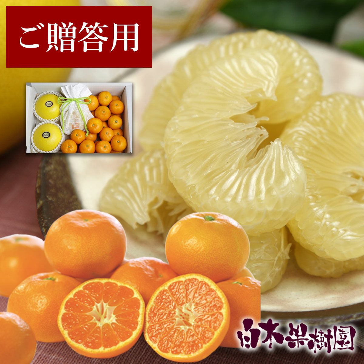 温室土佐文旦と温州みかんセット文旦3個みかん約20個【送料込】 | 白木